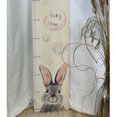 Benchmark for children rabit