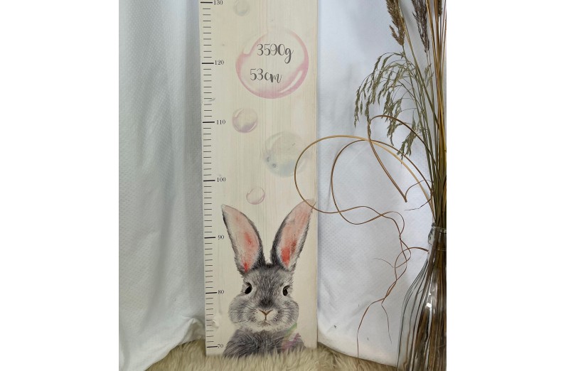 Benchmark for children rabit